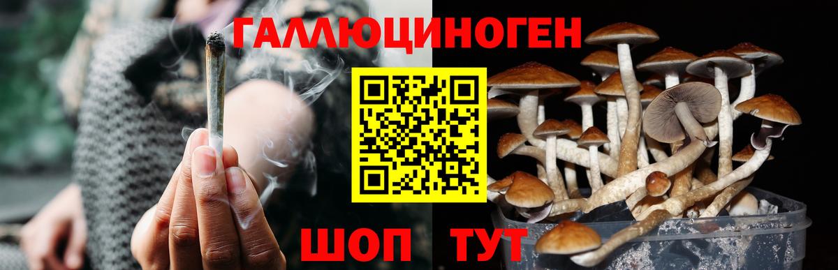 Галлюциногенные грибы прущие грибы  Вход с VPN  Псилоцибиновые грибы Psilocybine cubensis  Воткинск 
